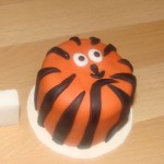Mon mini-cake tigre