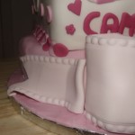Le Gâteau Doudou de Camille